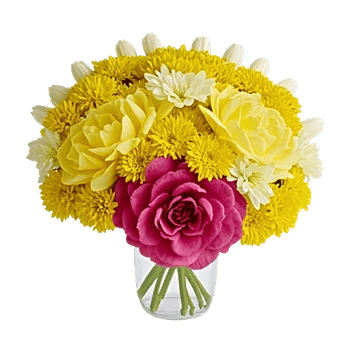 Petal Radiance Bliss