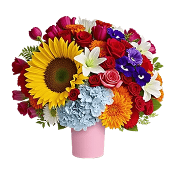Petal Radiance Bliss