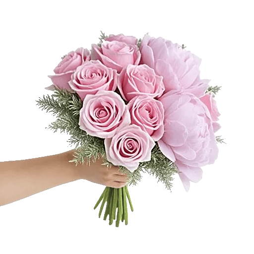 Pastel Pink Roses