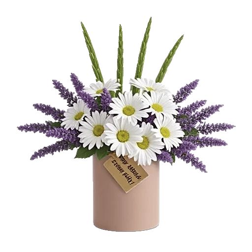 Enchanting Daisy Garden