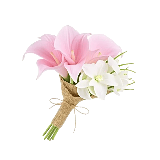 Elegant Calla Lilies