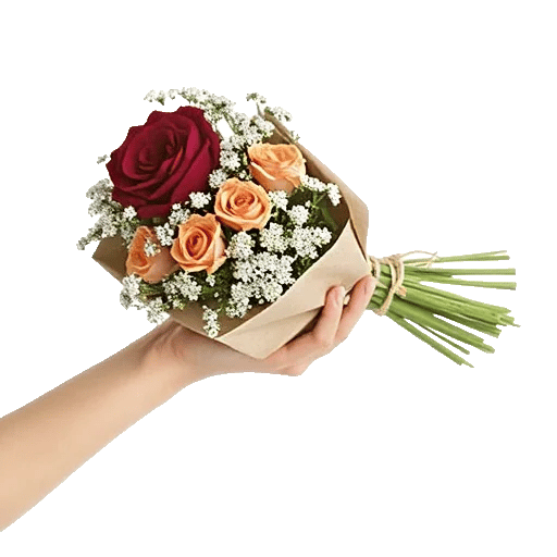 Crimson Rose Elegance