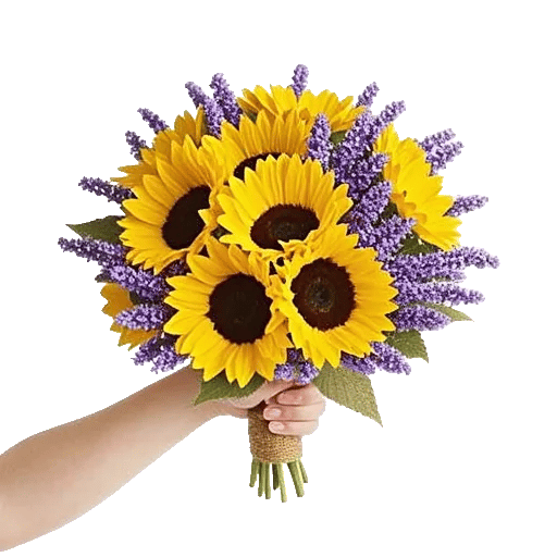 Twinkling Sunflower Dance