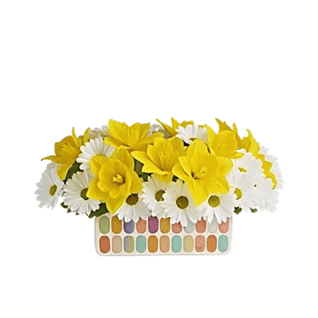 Blossom Harmony Display
