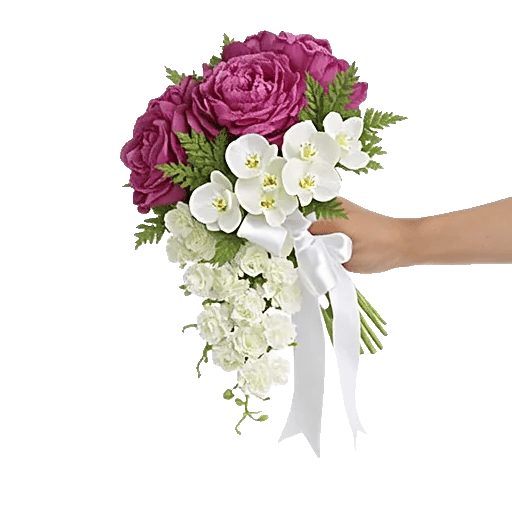 Delicate Petal Cascade