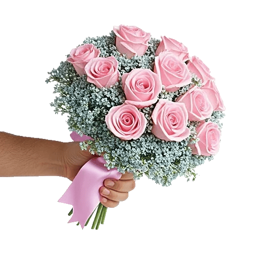 Pastel Pink Roses