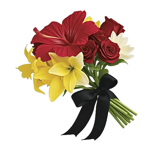 Scarlet Tulip Splendor