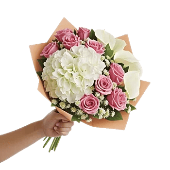 Serene Petal Harmony