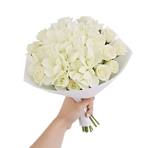 Serene Petal Harmony