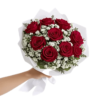 Crimson Rose Elegance
