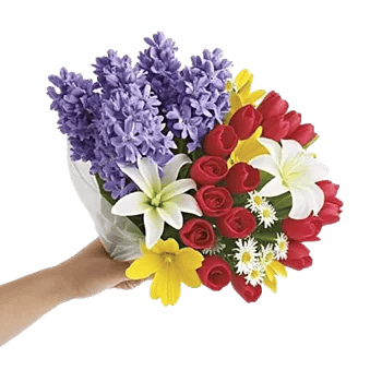 Blossom Harmony Display