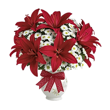 Crimson Lily Glow