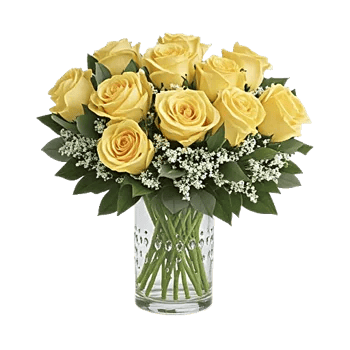 Glistening Rose Garden