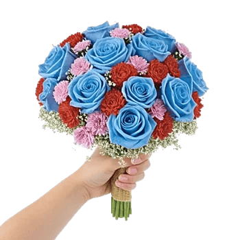 Blushing Rose Symphony