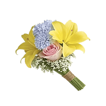 Blossom Petal Serenity