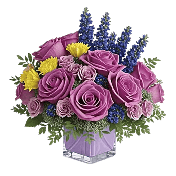 Lavender Bloom Grace