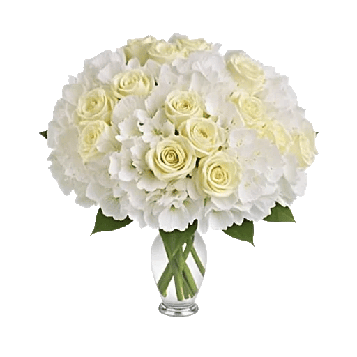 Ivory Blossom Radiance