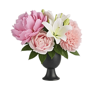 Petal Radiance Bliss