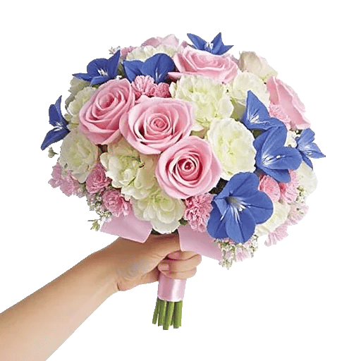 Serene Petal Harmony