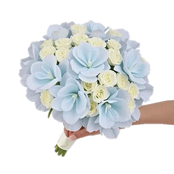 Serene Petal Harmony