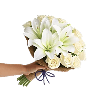 Ivory Garden Grace