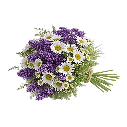 Fresh Meadow Blooms