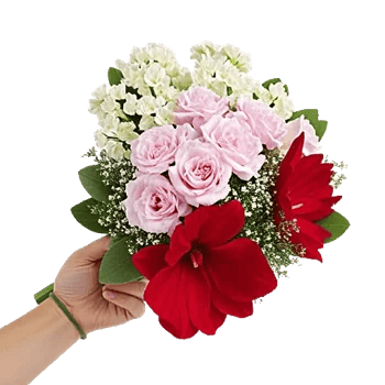Elegant Calla Lilies