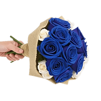 Elegant Blue Roses