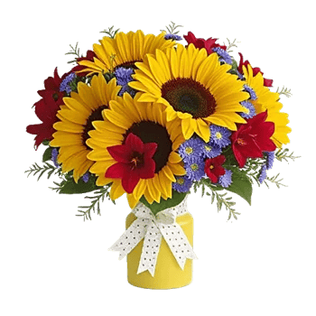 Bright Cheerful Sunflowers