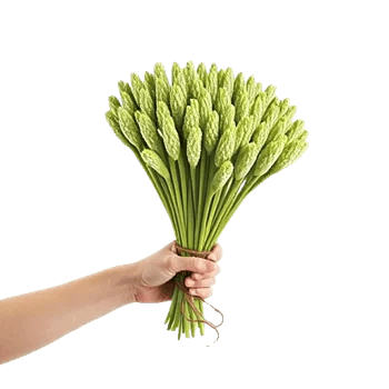 Emerald Leaf Harmony