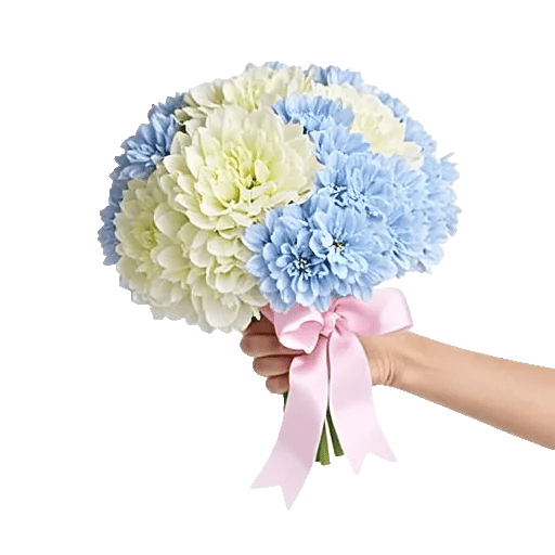 Serene Petal Harmony