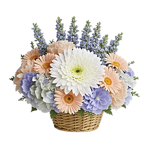 Serene Petal Harmony