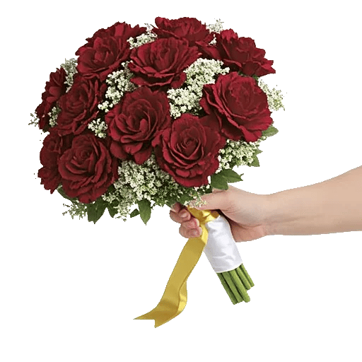 Crimson Rose Elegance