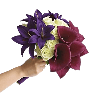 Elegant Calla Lilies