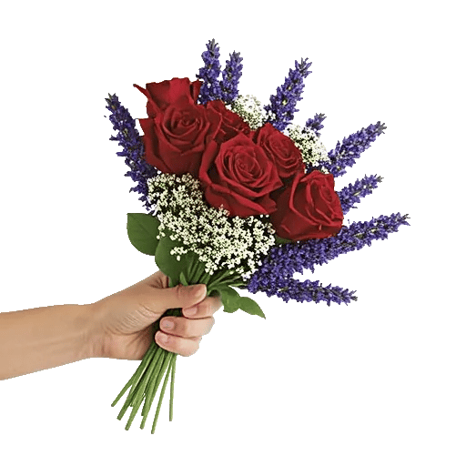 Crimson Rose Elegance