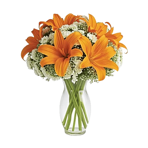 Ivory Blossom Radiance