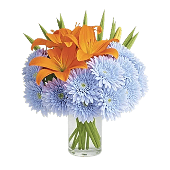 Petal Radiance Bliss