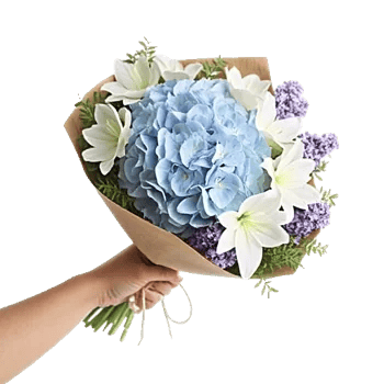 Serene Petal Harmony