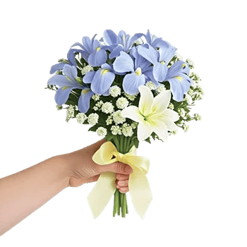 Ivory Garden Grace