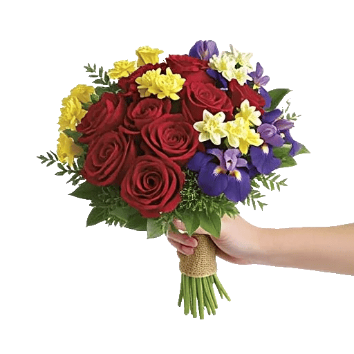 Crimson Rose Elegance