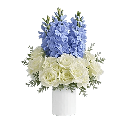 Sapphire Bloom Whisper