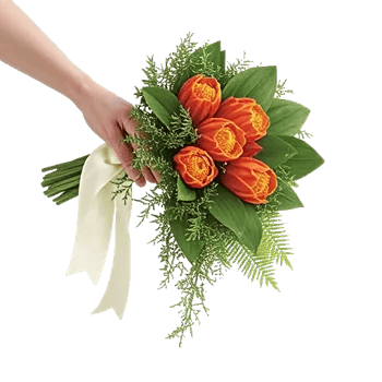 Delicate Petal Cascade