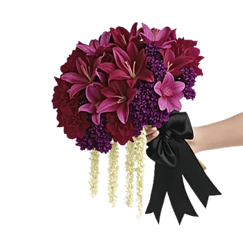 Elegant Calla Lilies