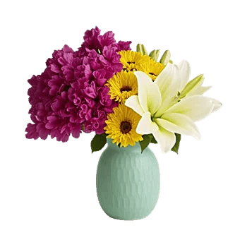 Petal Radiance Bliss