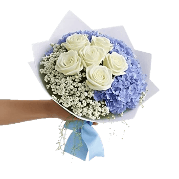 Serene Petal Harmony