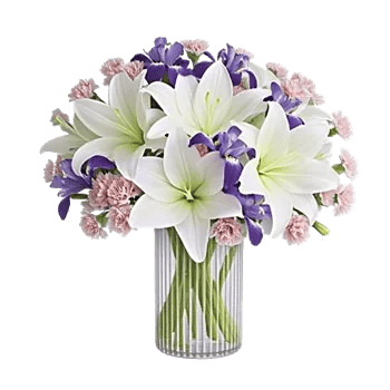 Ivory Blossom Radiance