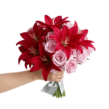 Blushing Rose Symphony