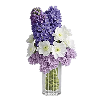 Ivory Blossom Radiance