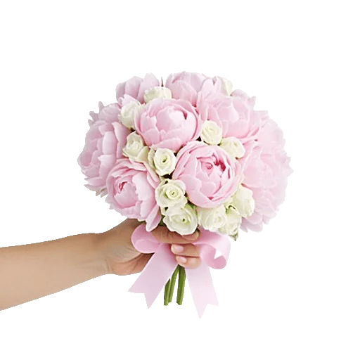 Peony Petal Harmony