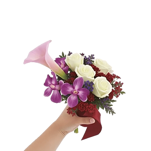 Elegant Calla Lilies